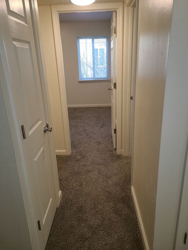 Woodlawn Park Apartments - Photo 4 of 14