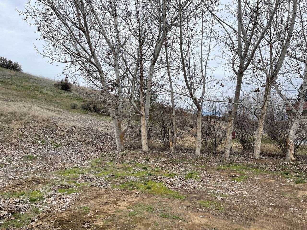1481 Tozer Rd - Photo 3 of 21