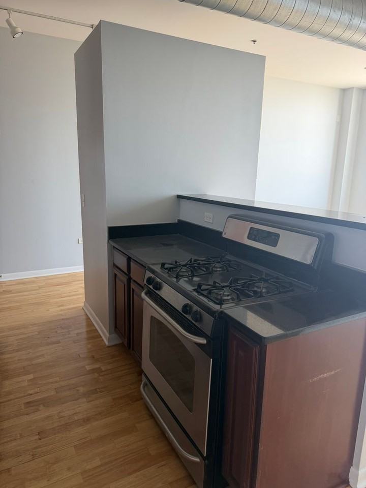 1550 S Blue Island Ave #1211 - Photo 6 of 26