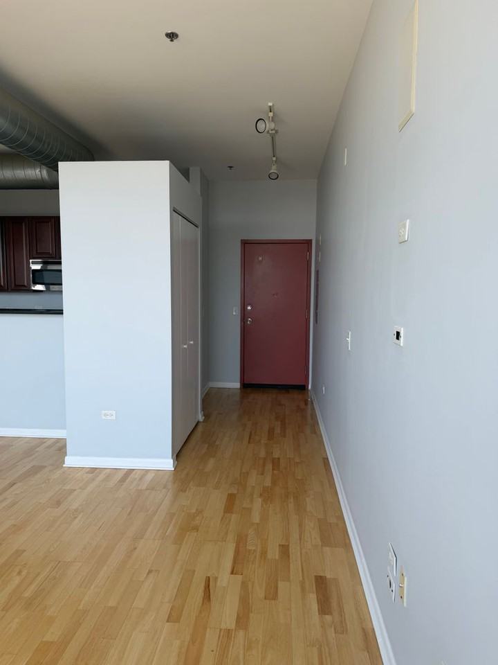 1550 S Blue Island Ave #1211 - Photo 7 of 26