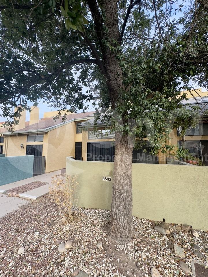 3882 N Paseo De Las Canchas - Photo 4 of 20