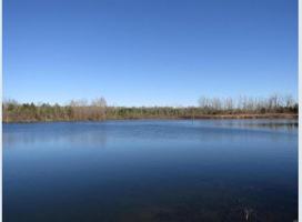 featured image of Warden Lake - 20 Acres #NA