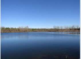Warden Lake - 20 Acres #NA - Photo 1 of 1