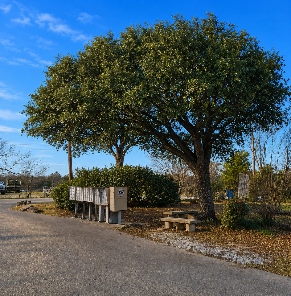 13045 Fish Rd #201 - Photo 2 of 13