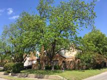 1603 W Rosewood Ave #A - Photo 1 of 1