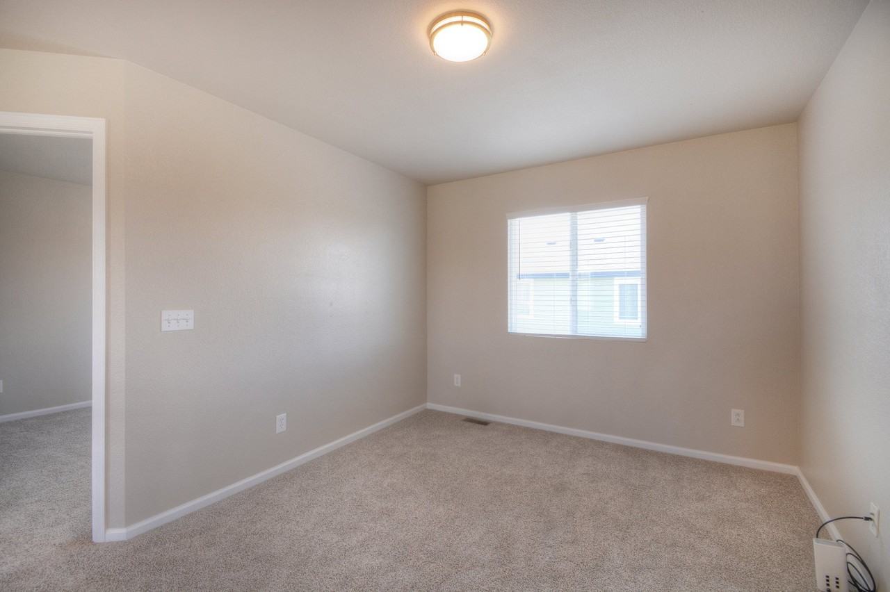 11578 Black Maple Ln - Photo 4 of 15
