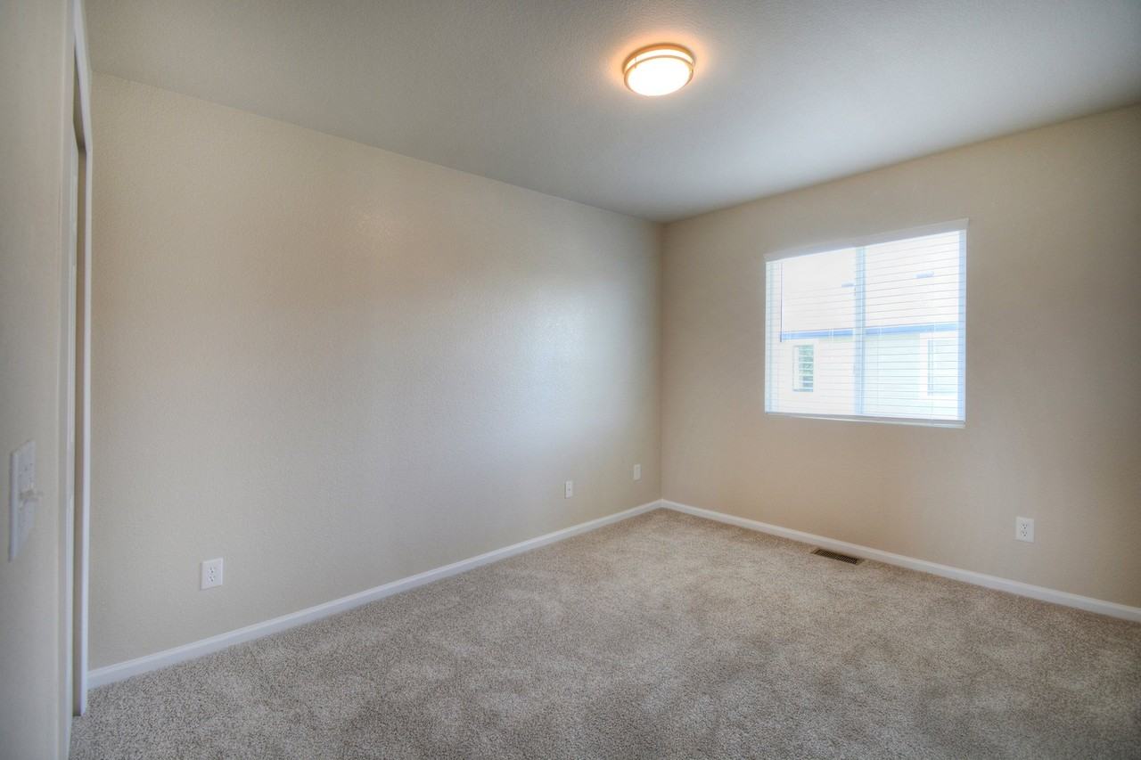 11578 Black Maple Ln - Photo 7 of 15