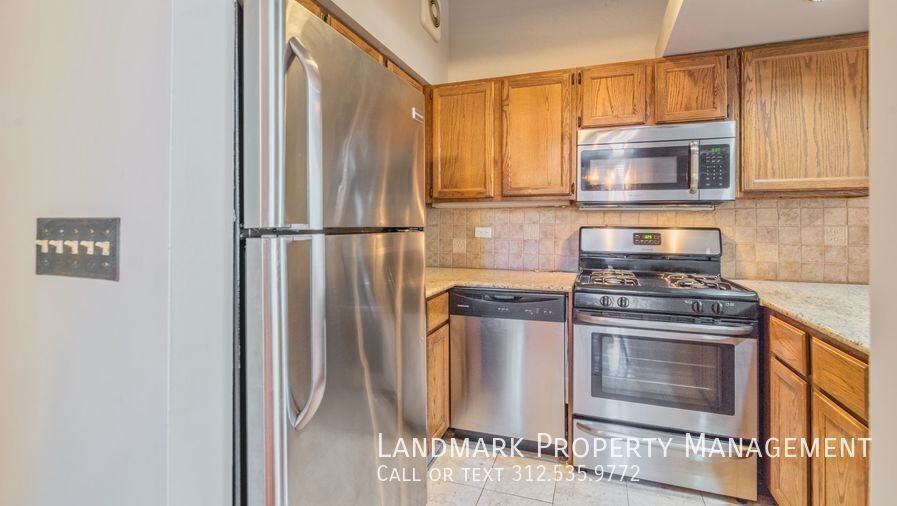 549 W Belden Ave #1FE - Photo 2 of 23