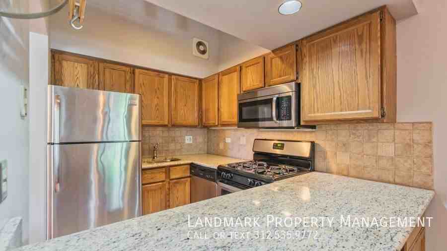 549 W Belden Ave #1FE - Photo 3 of 23