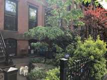 337 Adelphi St #1 - Photo 1 of 1