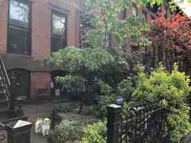 337 Adelphi St #1 - Photo 1 of 1