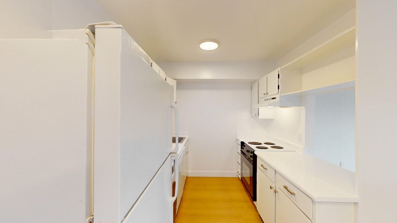 2033 Castro St #11A - Photo 4 of 12