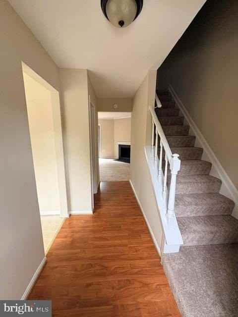 6021 Bonnie Bern Ct - Photo 2 of 18