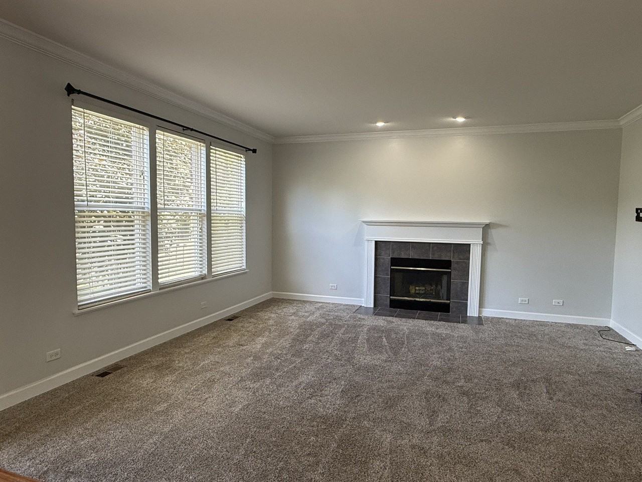2036 Antietam Ct - Photo 4 of 20