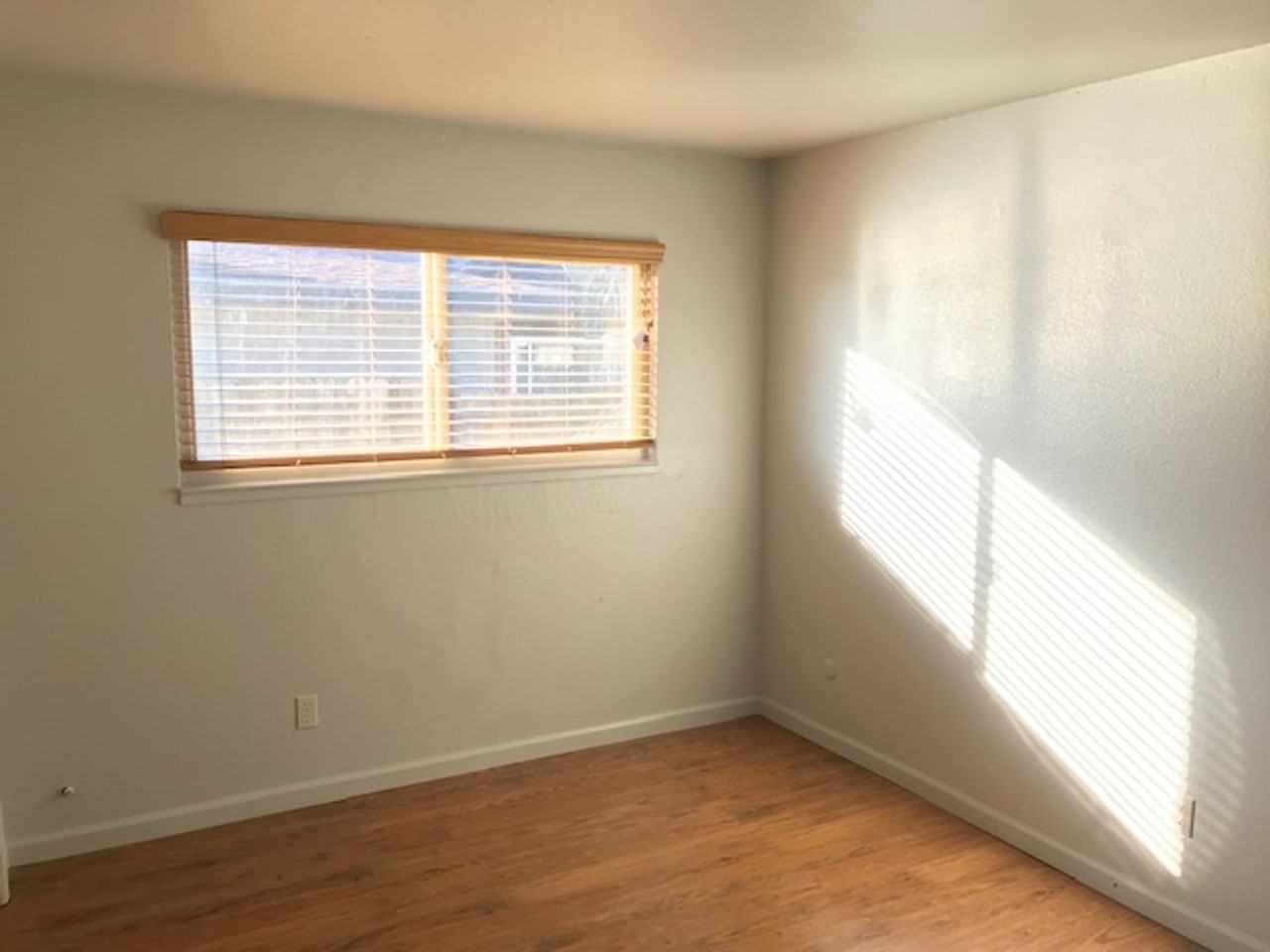 10087 Nebula Way - Photo 5 of 6