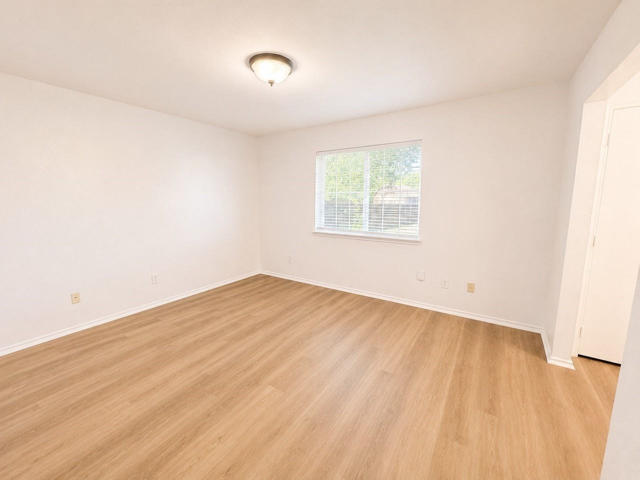 515 Haymarket Rd - Photo 6 of 15