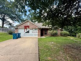 featured image of 15919 Brittain Ct