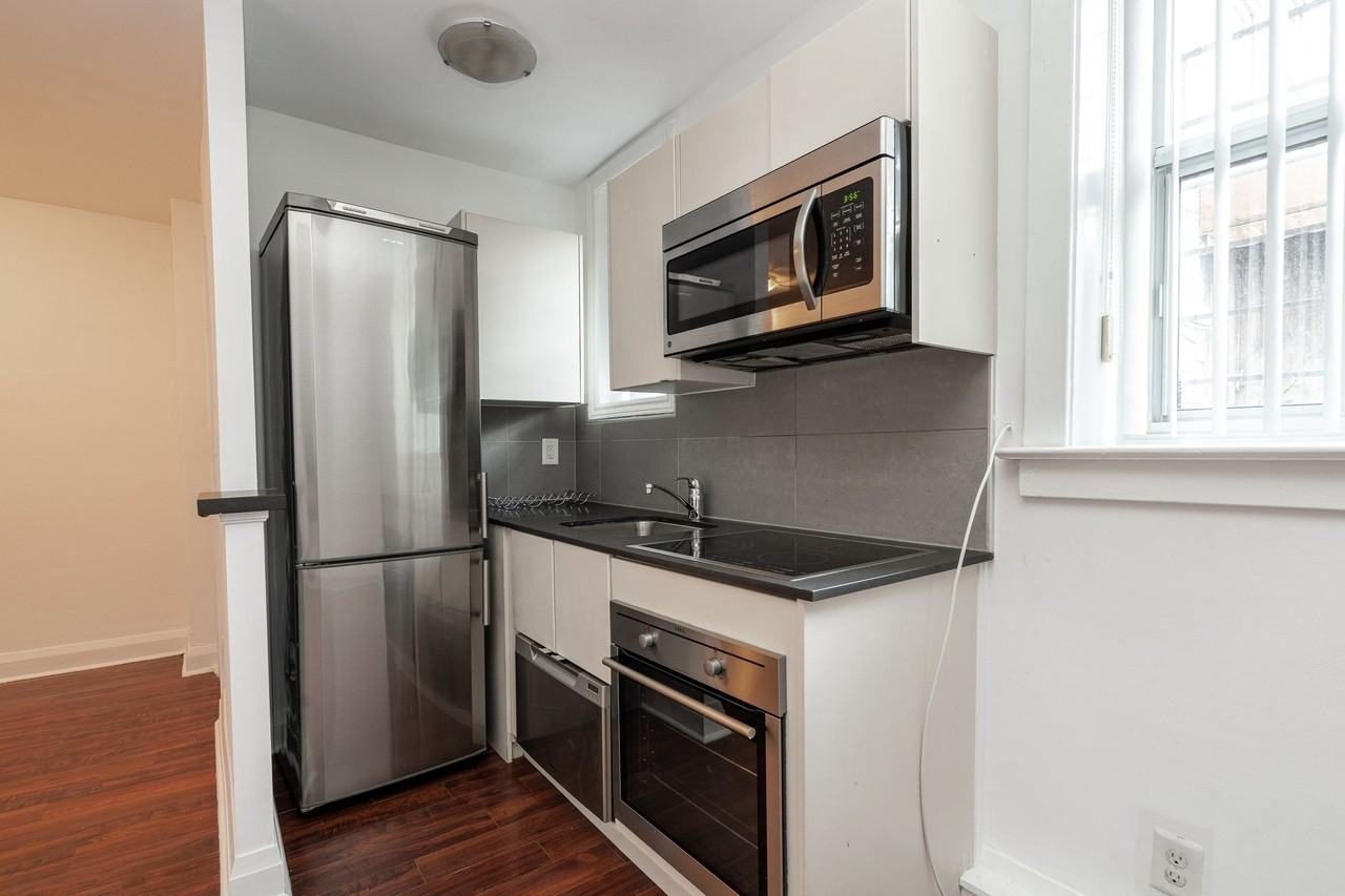 54 - 56 Maitland Street - Photo 5 of 50