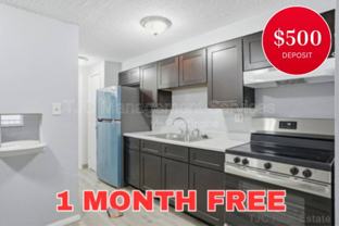 1341 N Ogden St #202 - Photo 1 of 1