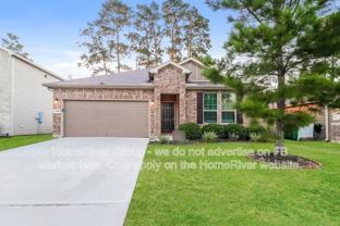 4229 Amber Ruse Dr - Photo 1 of 1
