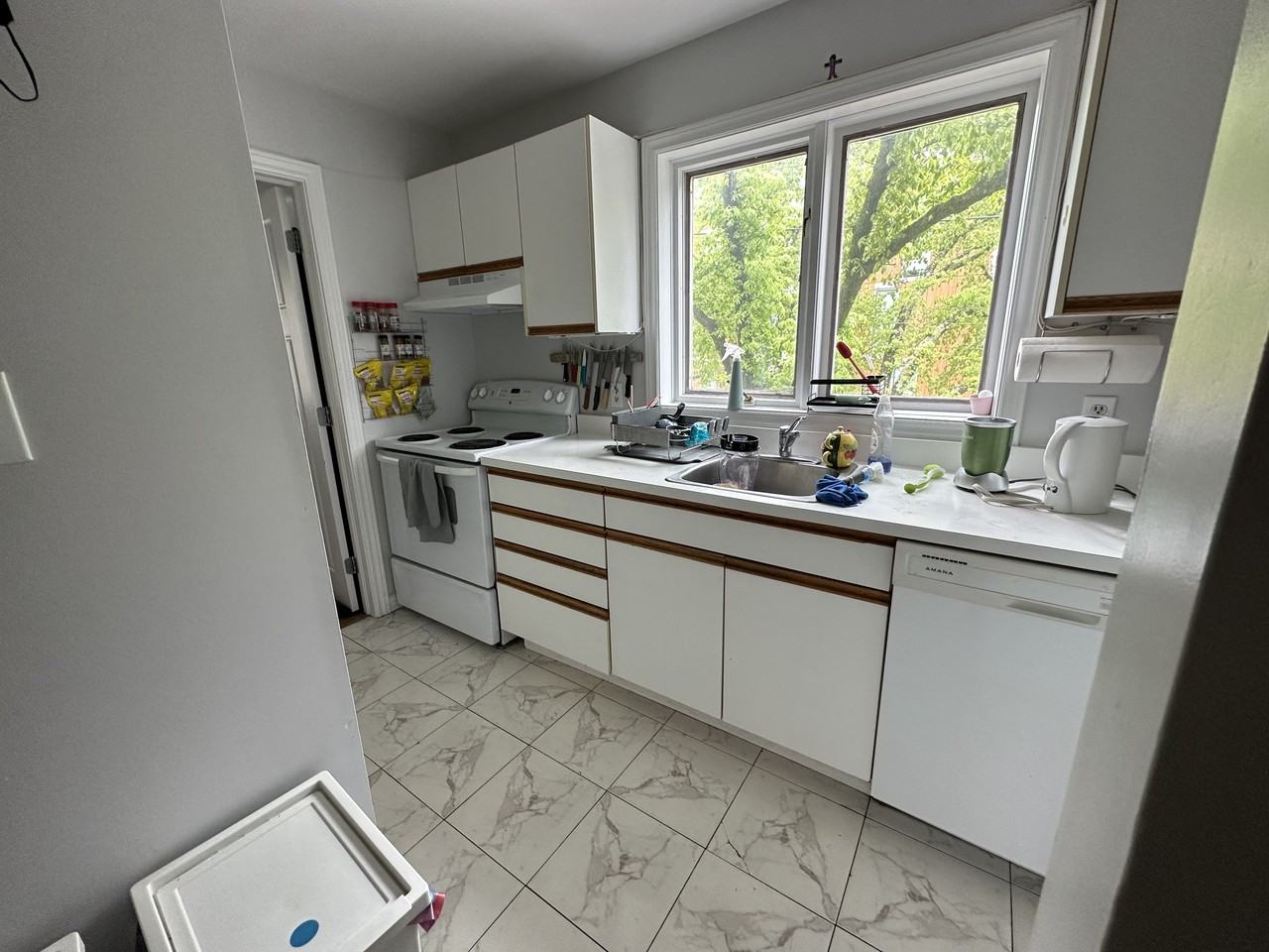 6131 Coburg Road #03 - Photo 3 of 29