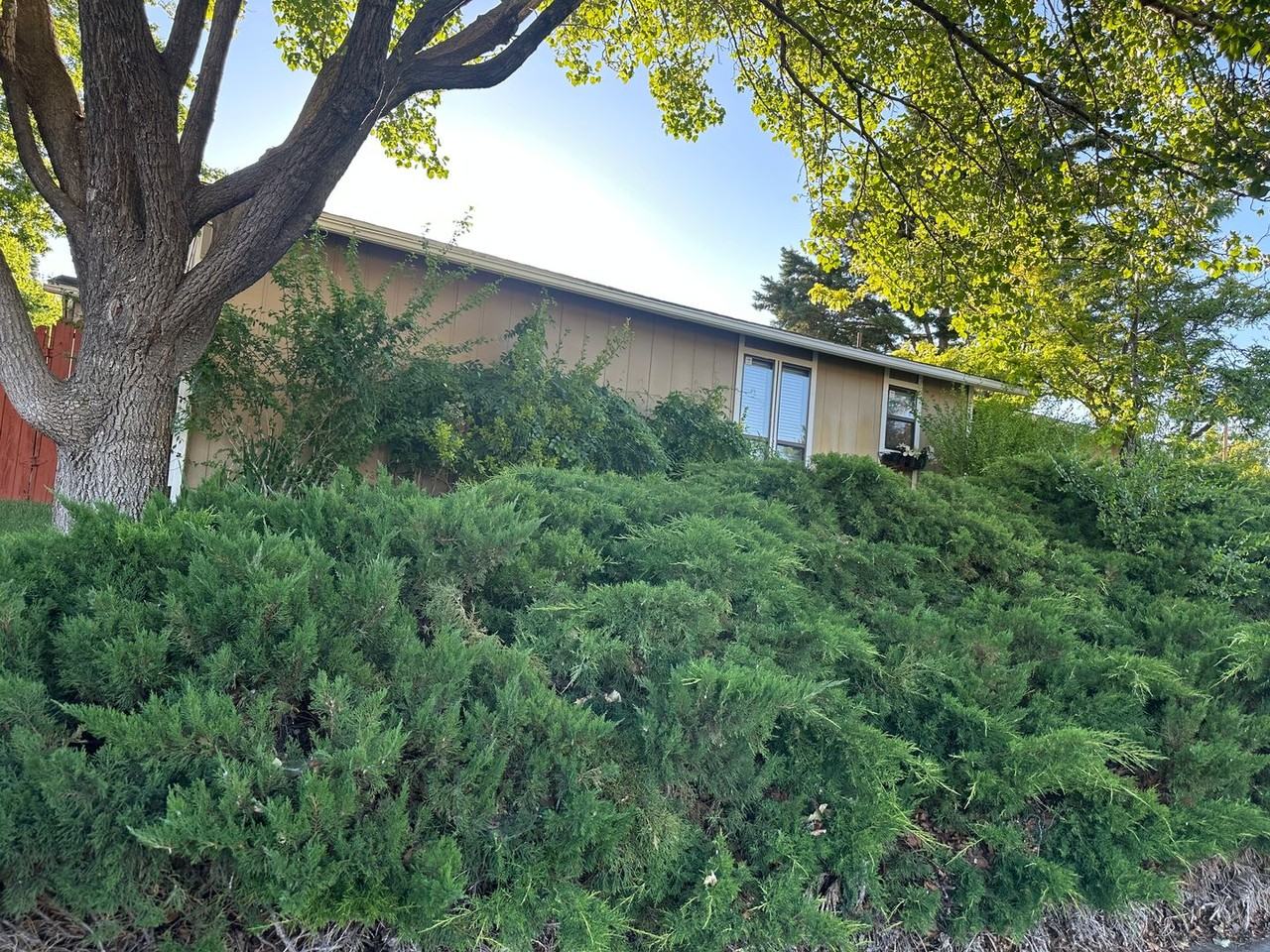1500 Ellendale Ct - Photo 3 of 26