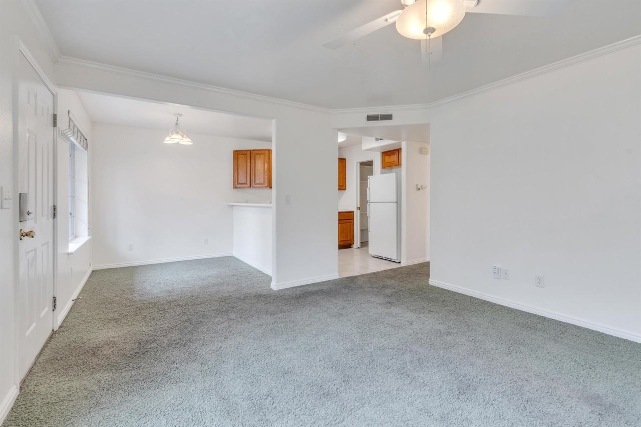 419 Ne #103 - Photo 7 of 14