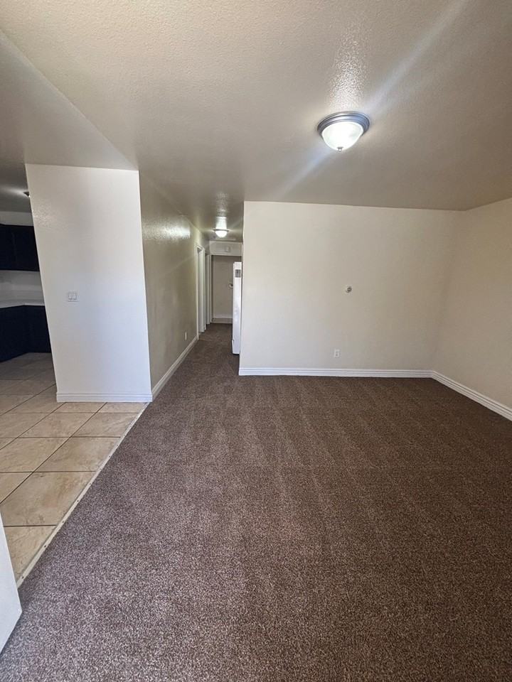 639 East 87th Place - Photo 3 of 15