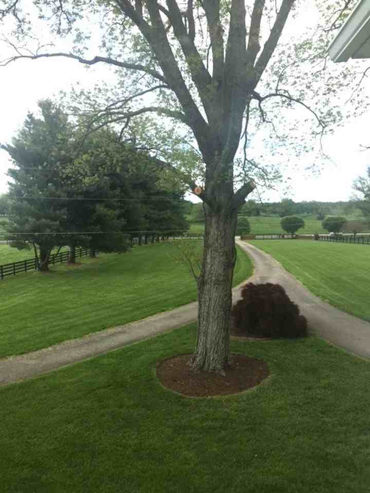 3376 Winchester Rd - Photo 3 of 36
