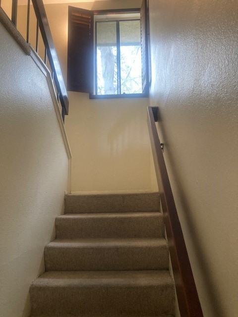 3233 Caminito Eastbluff #19 - Photo 7 of 12