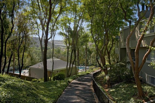 Club Laguna - Photo 2 of 7