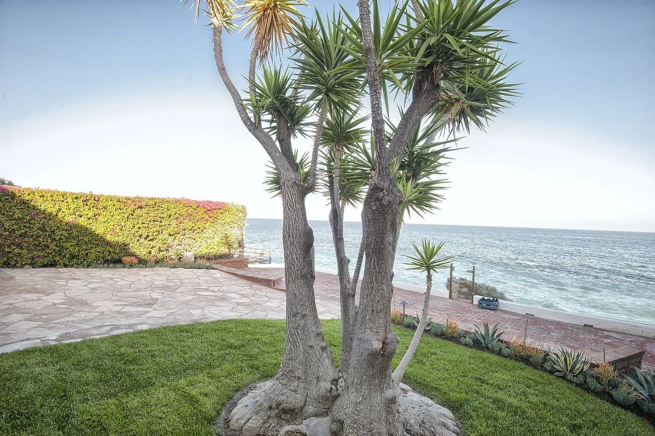 24142 Malibu Rd - Photo 3 of 13