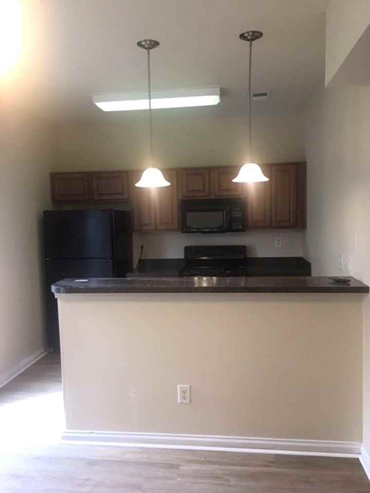 1145 Appian Crossing Way - Photo 6 of 21