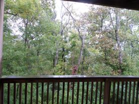 Eagle's Roost Apartments - Photo 1 of 1