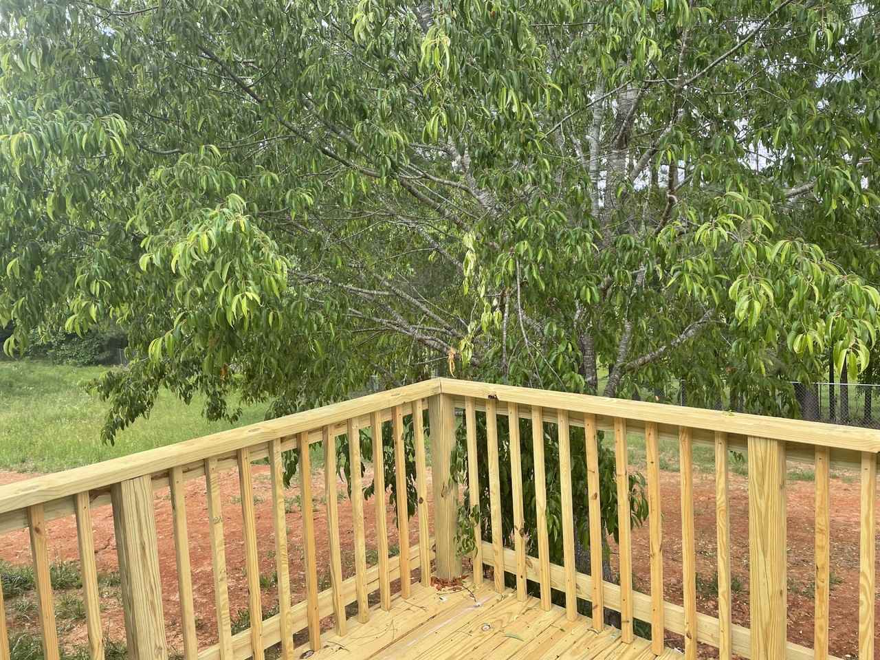 326 Oak Leaf Cir #1 - Photo 4 of 15