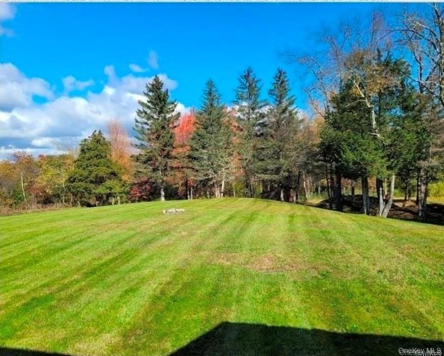 2115 Route 55 #1 - Photo 2 of 18