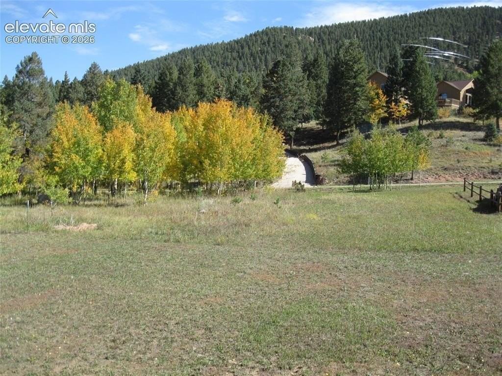 509 Mountain View Pl - Photo 3 of 11
