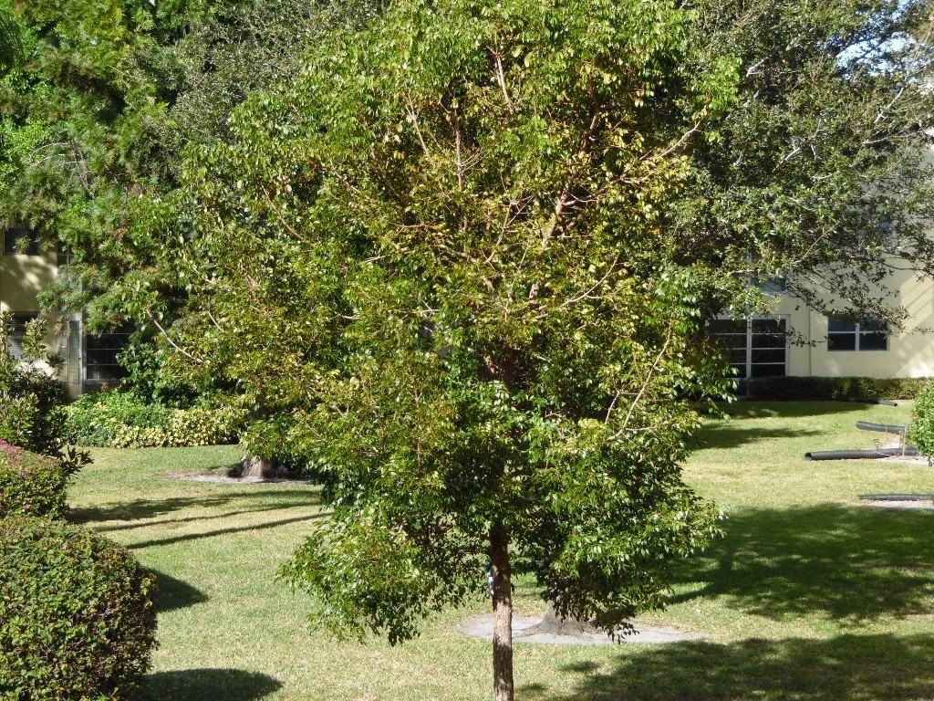 1100 Ponce De Leon Cir #N102 - Photo 4 of 31