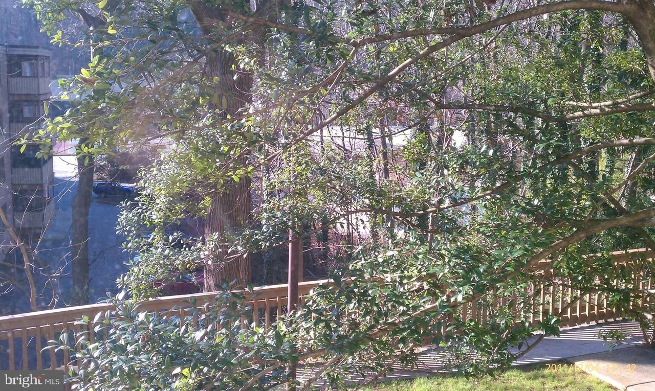 18 Cross Keys Rd #18C - Photo 7 of 17