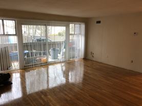 202 Central St #04 - Photo 1 of 1