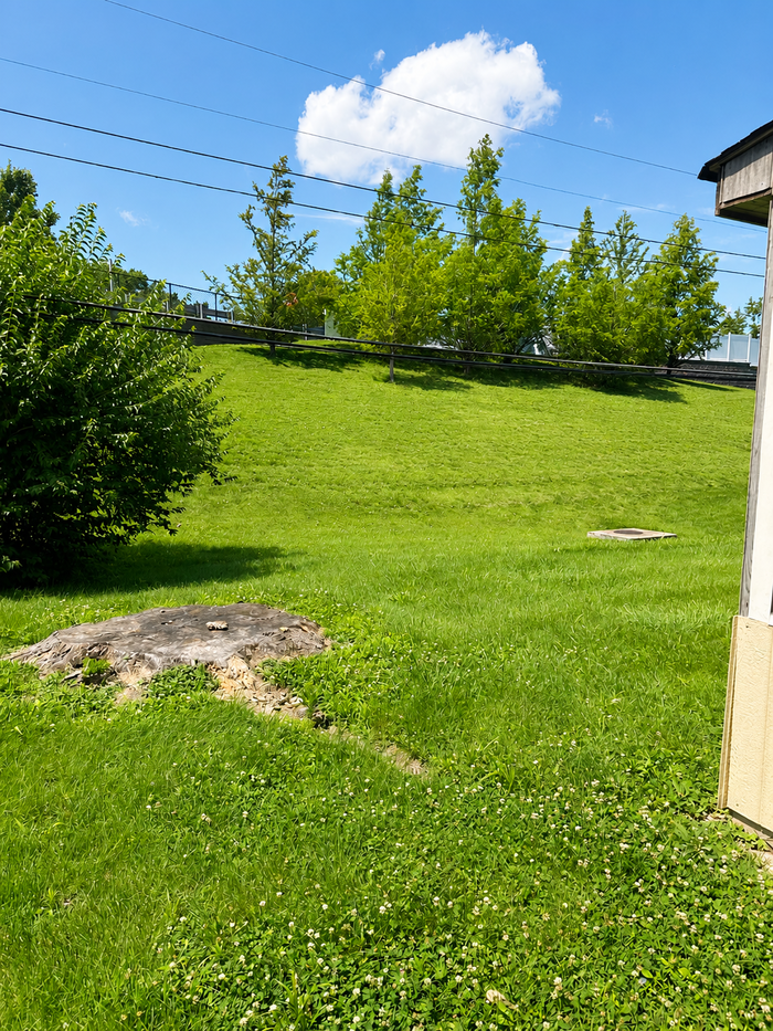 10933 Brookings Dr - Photo 7 of 7