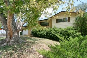featured image of 531 Empress St