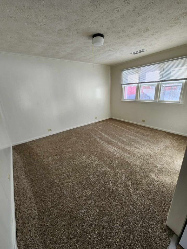 517 S Michigan Ave - Photo 3 of 9