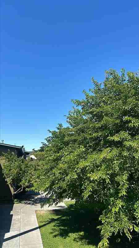 10 and 12 San Pablo Ave - Photo 7 of 35
