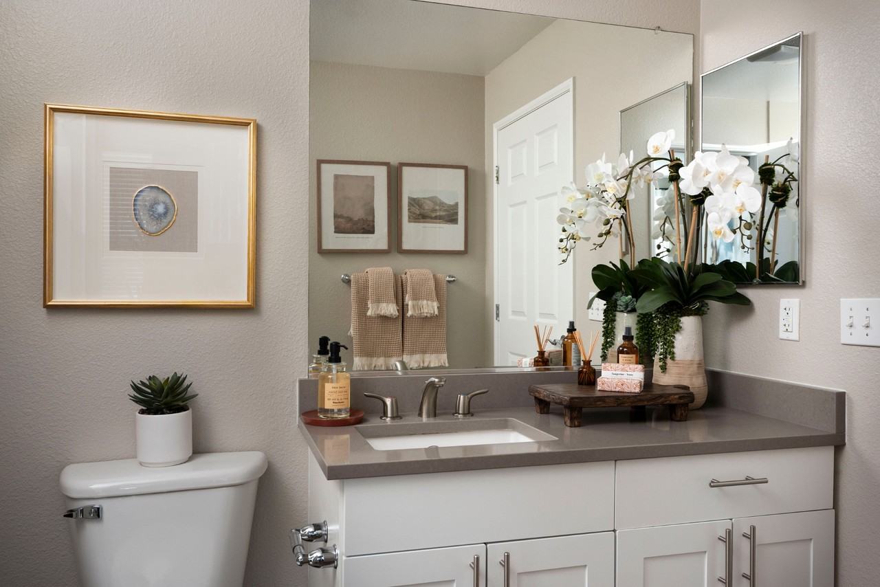 Montrachet Apartments - Photo 6 of 33