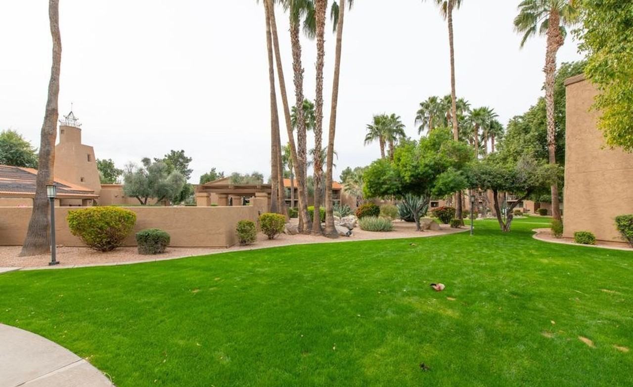 8256 E Arabian Trl #226 - Photo 3 of 10