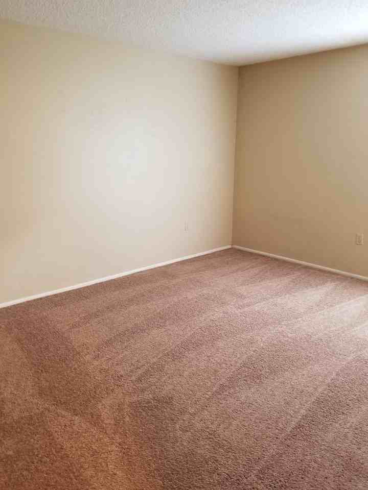 14213 Shadow Moss Ln #101 - Photo 5 of 10