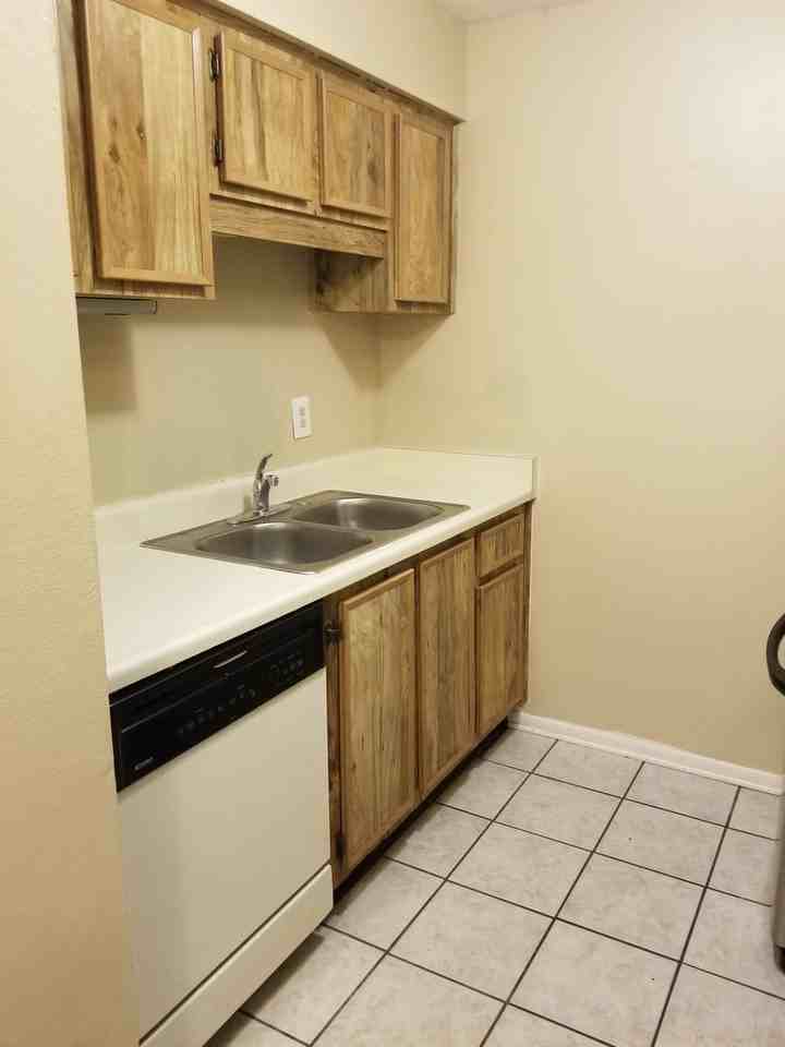 14213 Shadow Moss Ln #101 - Photo 7 of 10