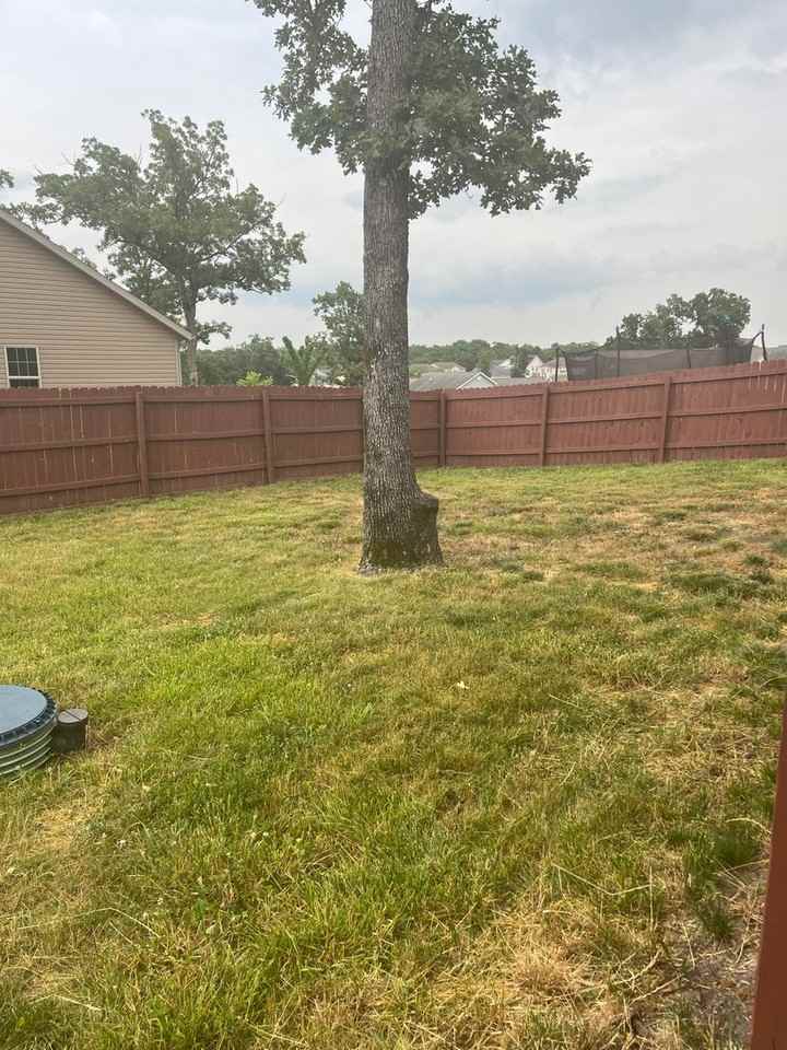 23568 Roulette Rd - Photo 4 of 37