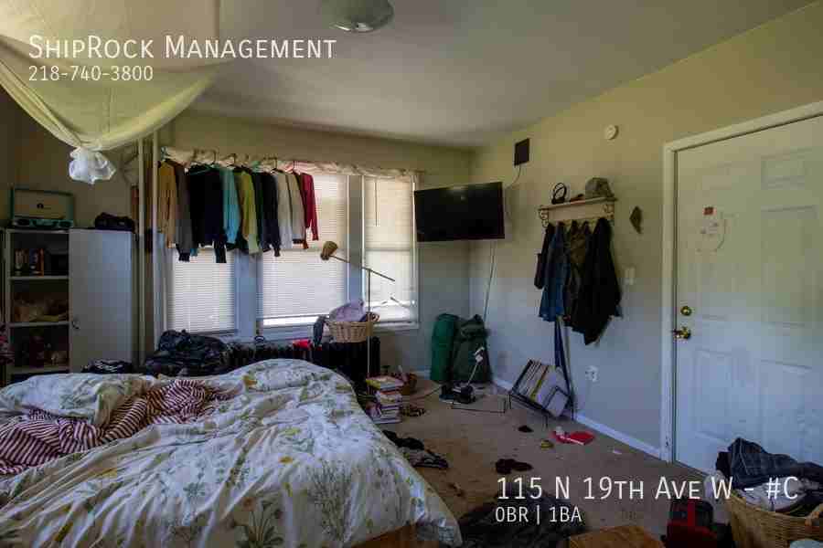 115 N 19th Ave W #C - Photo 4 of 7